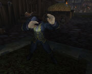 WoWScrnShot 061811 200248