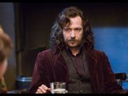 Large Sirius Black-3tzb6iqm