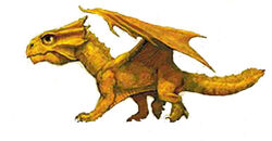Bronze dragon hatchling