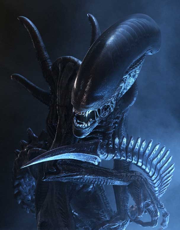 Xenomorfo Adulto Drone Especies Alien Genas Wiki