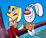 Brandyemrwhiskers6ib