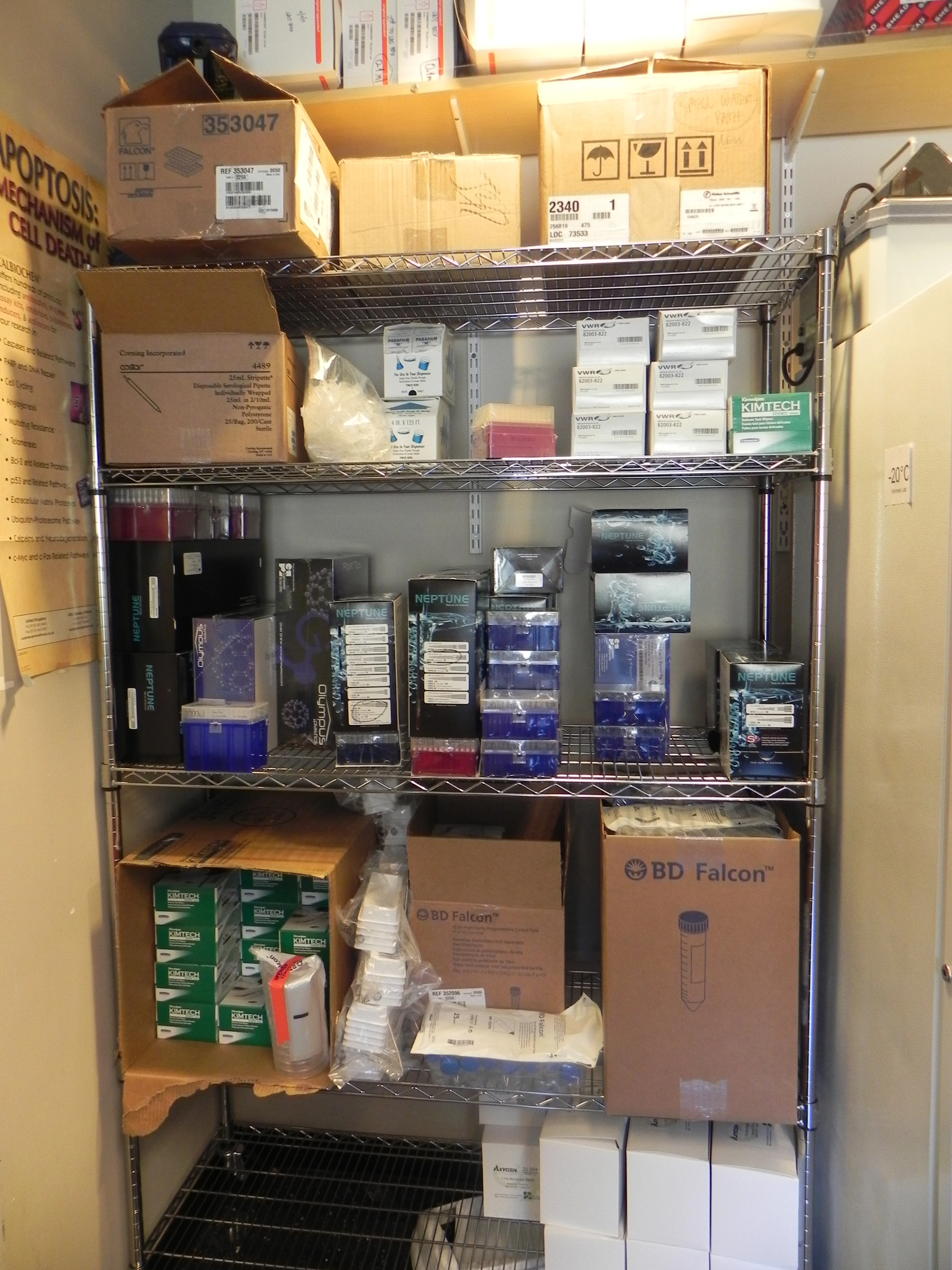 1.5 ml Eppendorf tubes Get Your Science On Wiki