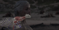 Making of Dragons