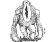 Mapinguari 250x195