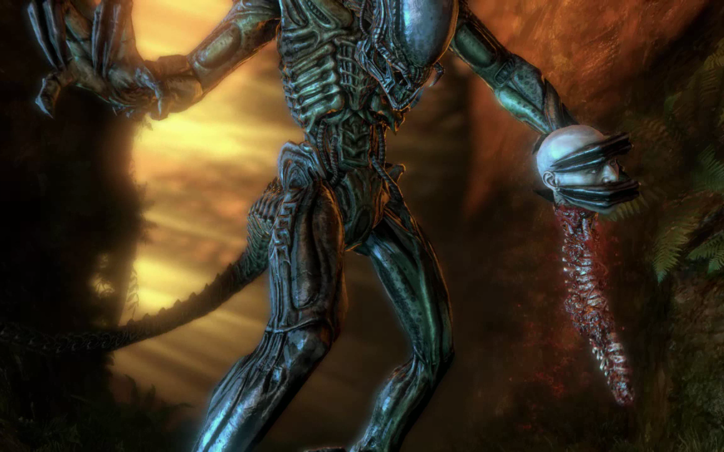 Aliens vs. Predator: Requiem, Xenopedia