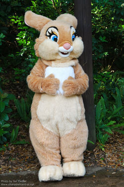 Miss Bunny WDW