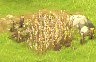 Oat_(plant).png