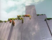 Paradise Towers