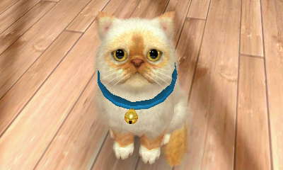Image - -Nintendogs Cats- Precious2.jpg - Nintendogs Wiki Image - -Nintendogs Cats- Precious2.jpg - Nintendogs Wiki