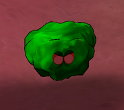FusionKimchi