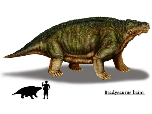 Tetrapods - Dinopedia - The Free Dinosaur Encyclopedia