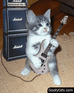 Funny-animated-gifs-cat-playing-guitar2.