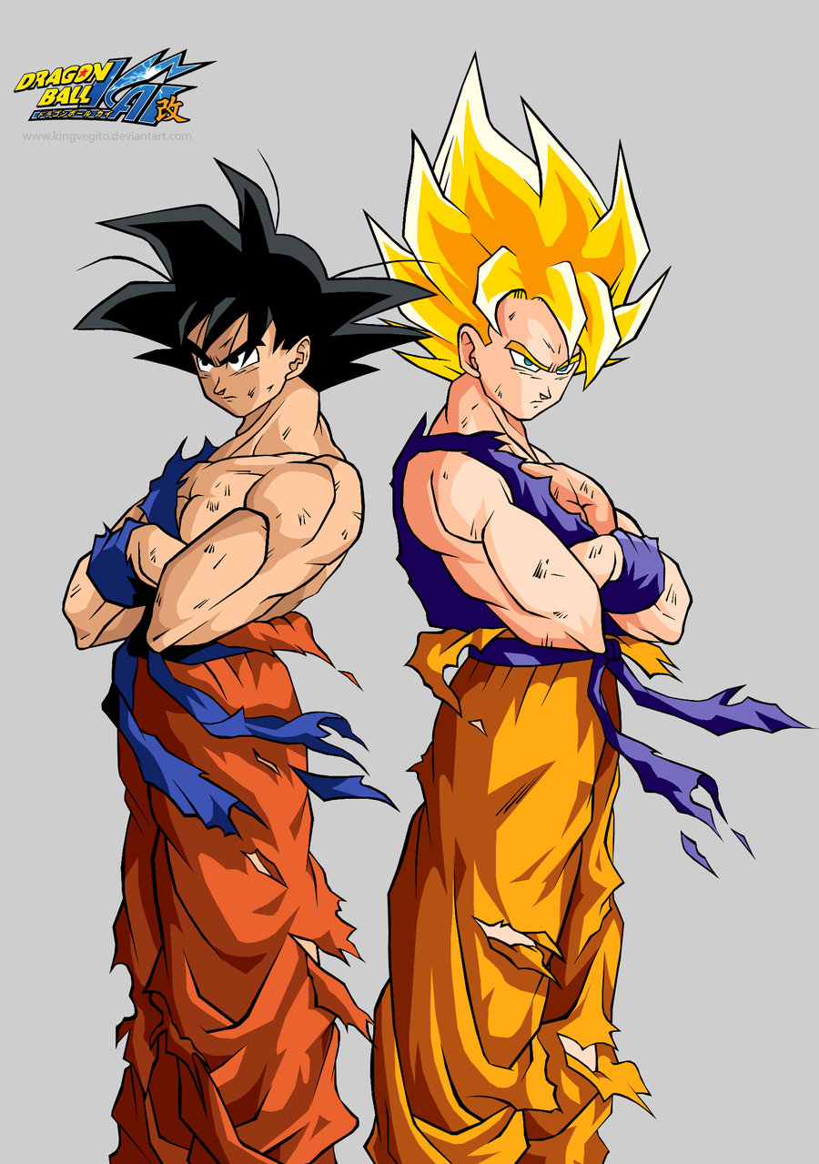 Image Goku Normal And Super Sayian Ultra Dragon Ball Wiki Wikia