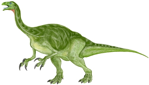 Alxasaurus - Dinopedia - the free dinosaur encyclopedia