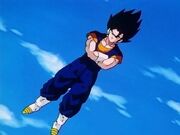 Base state Vegito