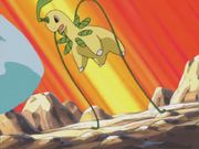 Ash Bayleef jump