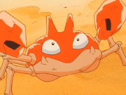 Ash Krabby