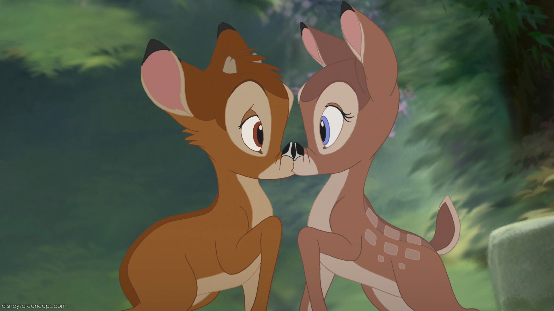 Image - Bambi2-disneyscreencaps.jpg - DisneyWiki