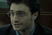 Volwassen Harry