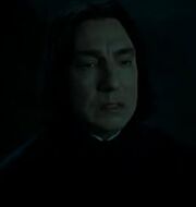 Snape 1980