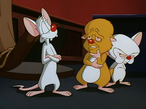 Image - Snowball Episode.png - Pinky And The Brain Wiki - Wikia