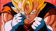 Buuabsorbingvegito