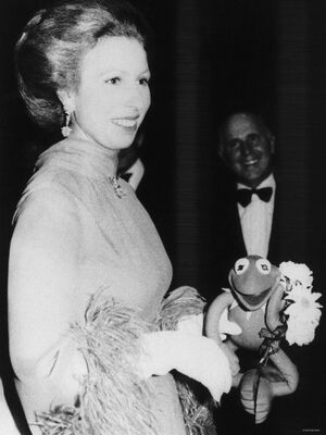 Princess anne -kermidoll