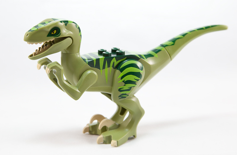 lego raptor charlie