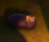 Baby tai lung kung fu panda