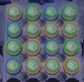 Bodtreesolution3