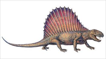 Dimetrodon profile