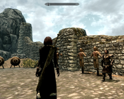 BugsSkyrim10