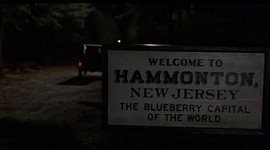 Hammonton-TIT
