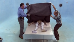 1x01 Dexter 47