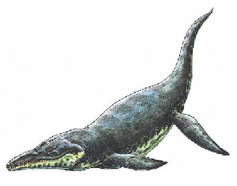 kronosaurus dinosaur