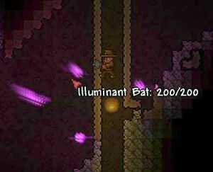 Illuminant Bat