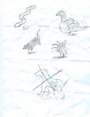 Aminals