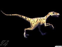 Jurassic 13