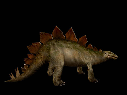 stegosaurus carnivore