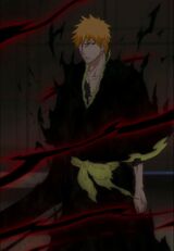 Fullbring de ichigo4