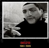 Bozo-TLaD