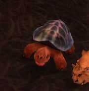 DarkmoonTurtle