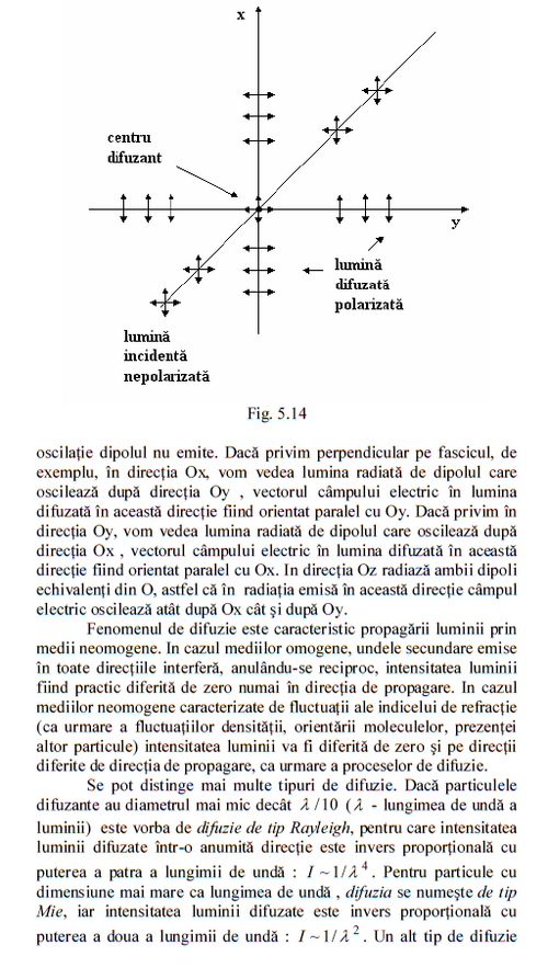Luminii Luminii