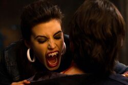 711 vampire bite