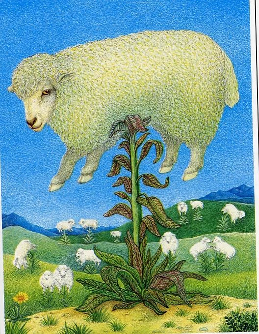 Vegetable Lamb Warriors Of Myth Wiki