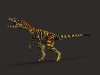 Raptorgamma
