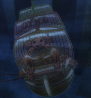 Gyro's ship