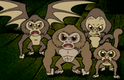 Enhanced marmosets