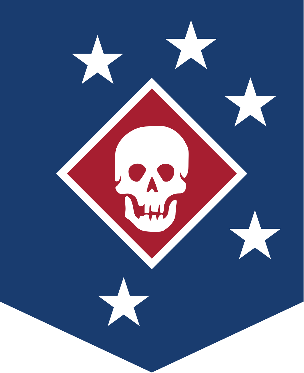 Marine_Raiders_Logo.png