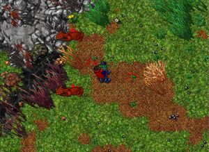 Killed Draptors!